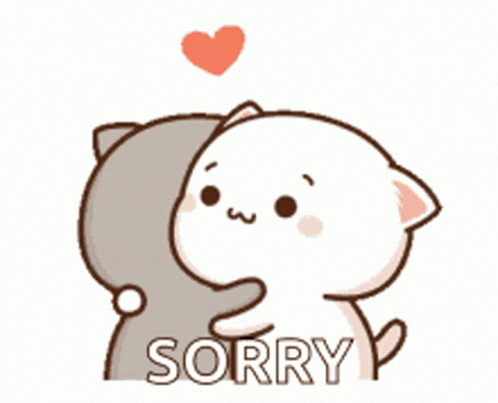 A Cartoon Of A Cat Hugging Another Cat With The Word Sorry Written On It GIF