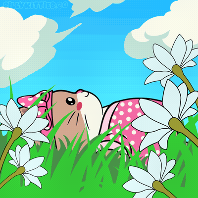 A Cartoon Of A Cat Laying In The Grass With Flowers And The Words Onlykittens.co GIF