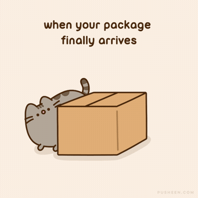 A Cartoon Of A Cat Peeking Out Of A Cardboard Box With The Words " When Your Package Finally Arrives " Below It GIF