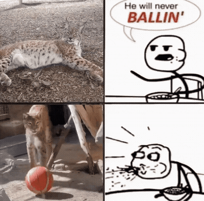 A Cartoon Of A Cat Playing With A Ball With The Words He Will Never Ballin ' Above It GIF