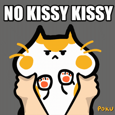 A Cartoon Of A Cat With The Words No Kissy Kissy GIF
