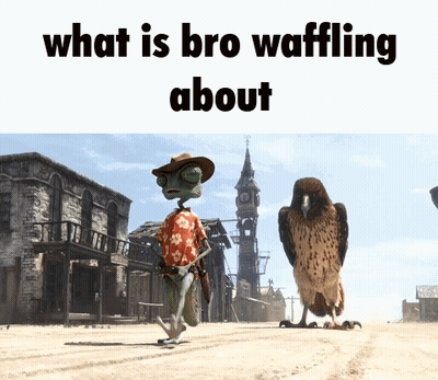 A Cartoon Of A Cowboy And A Bird With The Words What Is Bro Waffling About Below Them GIF