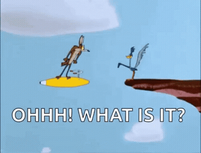 A Cartoon Of A Coyote And A Bird Flying Over A Cliff With The Words `` What Is It '' . GIF