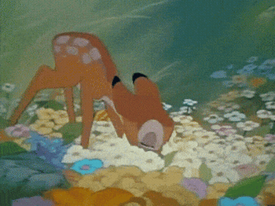 A Cartoon Of A Deer And A Squirrel Standing In A Field Of Flowers GIF