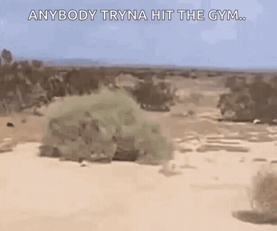 A Cartoon Of A Desert With The Words `` Anybody Tryna Hit The Gym '' Written On It . GIF