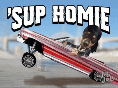 A Cartoon Of A Dog Driving A Lowrider With The Words ' Sup Homie ' Above It GIF