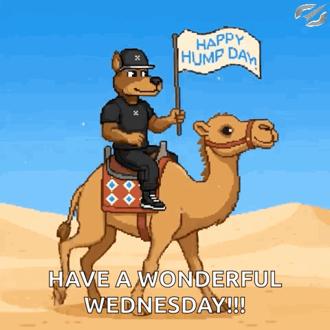 A Cartoon Of A Dog Riding A Camel With A Happy Hump Day Flag GIF
