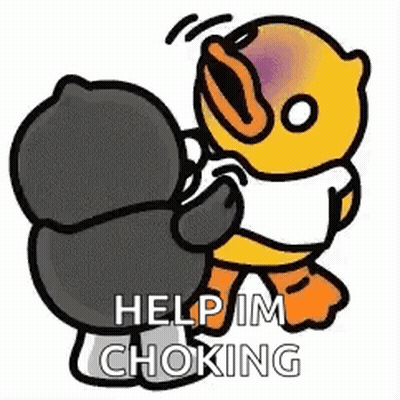 A Cartoon Of A Duck And A Penguin Fighting Each Other . GIF