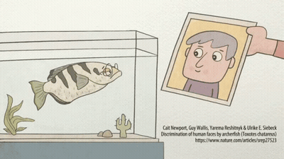 A Cartoon Of A Fish In A Tank With A Picture Of A Man Behind It GIF