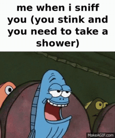 A Cartoon Of A Fish Saying Me When I Sniff You GIF