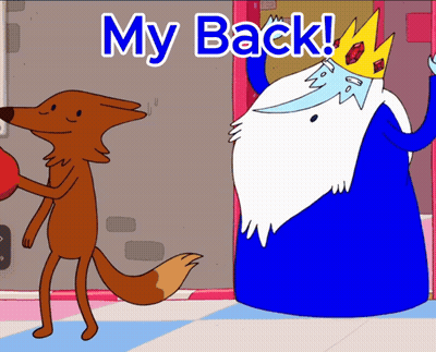 A Cartoon Of A Fox And Ice King With The Words My Back GIF