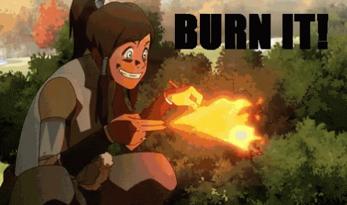 A Cartoon Of A Girl Holding A Fireball With The Words Burn It Behind Her GIF