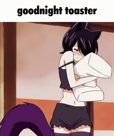 A Cartoon Of A Girl Hugging A Pillow With The Words Goodnight Toaster Below Her GIF
