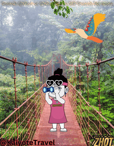A Cartoon Of A Girl Looking Through Binoculars On A Bridge With A Bird Flying In The Background GIF