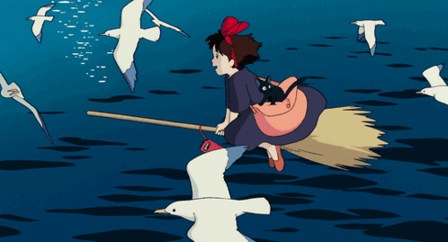 Girl Riding Broom With Seagulls In Background GIF