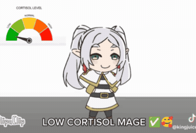 A Cartoon Of A Girl With A Sword And The Words Low Cortisol Mage Below Her GIF