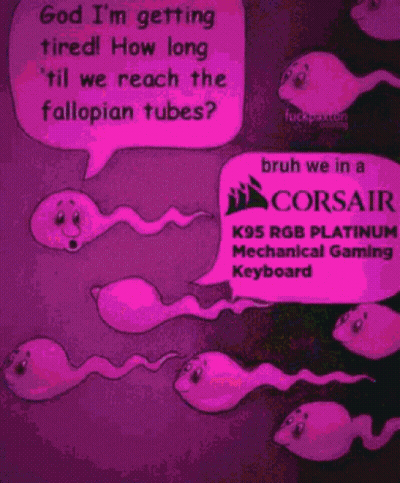 A Cartoon Of A Group Of Sperm Talking About Corsair K95 Rgb Platinum Mechanical Gaming Keyboard GIF