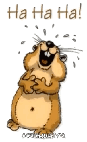 A Cartoon Of A Hamster Laughing With The Words `` Ha Ha Ha '' . GIF