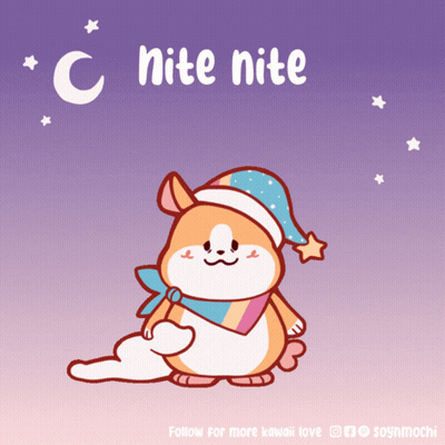 A Cartoon Of A Hamster Wearing A Sleep Cap With The Words " C Nite Nite " Written Above It GIF