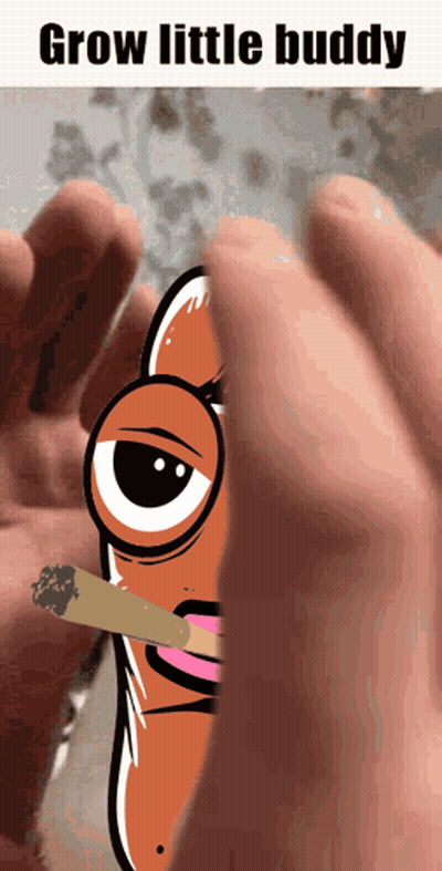 A Cartoon Of A Hot Dog Smoking A Cigarette With The Words Grow Little Buddy Above It GIF