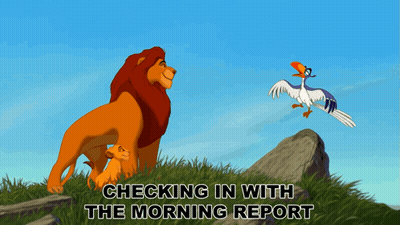 A Cartoon Of A Lion And A Bird With The Words Checking In With The Morning Report Below It GIF