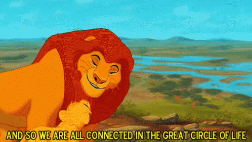 A Cartoon Of A Lion And A Cub With The Words " And So We Are All Connected In The Great Circle Of Life " Below Them GIF