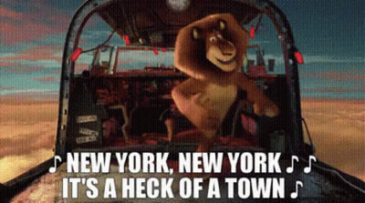 A Cartoon Of A Lion In A Car With The Words New York New York It 'S A Heck Of A Town GIF