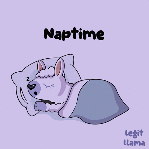 A Cartoon Of A Llama Sleeping Under A Blanket With The Caption Naptime GIF