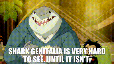 A Cartoon Of A Man Dressed As A Shark With The Words Shark Genitalia Is Very Hard To See GIF