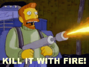 A Cartoon Of A Man Holding A Flamethrower With The Words Kill It With Fire Below Him GIF