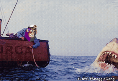 A Cartoon Of A Man On A Boat With A Shark In The Background And The Hashtag Layc GIF