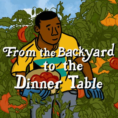 A Cartoon Of A Man Picking Tomatoes With The Words From The Backyard To The Dinner Table Above Him GIF
