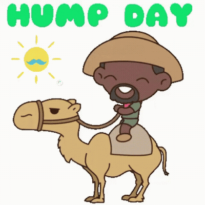A Cartoon Of A Man Riding On The Back Of A Camel GIF