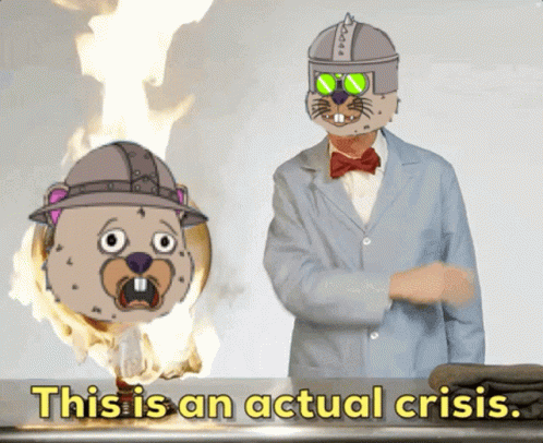 A Cartoon Of A Man Standing Next To A Cartoon Of A Beaver With The Words " This Is An Actual Crisis " Above Him GIF