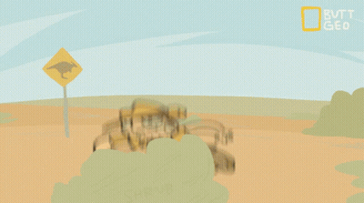 A Cartoon Of A Man Taking A Picture Of A Sandwich With The Words Butt Gear On The Bottom GIF