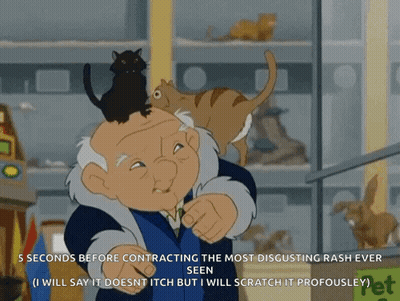A Cartoon Of A Man With A Cat On His Head And The Words 5 Seconds Before Contracting The Most Disgusting Rash Ever Seen GIF