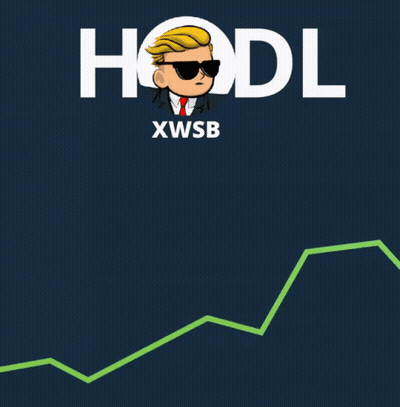 A Cartoon Of A Man With The Word Hodl Xwsb On The Bottom GIF