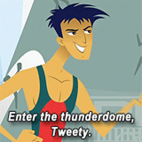 A Cartoon Of A Man With The Words " Enter The Thunderdome Tweety " GIF