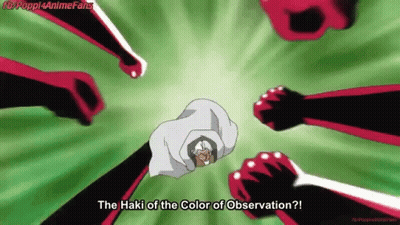 A Cartoon Of A Man With The Words " The Haki Of The Color Of Observation " On The Bottom GIF