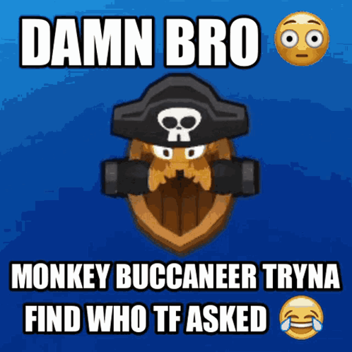 A Cartoon Of A Monkey Wearing A Pirate Hat With The Words Damn Bro GIF