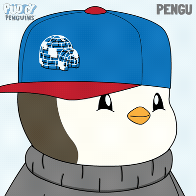 A Cartoon Of A Penguin Wearing A Blue Hat With The Name Pengu On It GIF