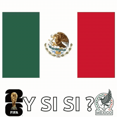 A Cartoon Of A Penguin With A Soccer Ball In Front Of A Mexico Flag GIF