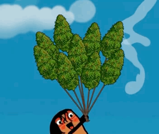 A Cartoon Of A Person Holding A Bunch Of Marijuana GIF