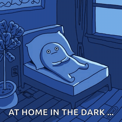 A Cartoon Of A Person Laying In Bed With The Words At Home In The Dark GIF
