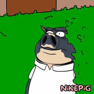 A Cartoon Of A Pig Peeking Out From Behind A Hedge With Nikepig Written On The Bottom GIF