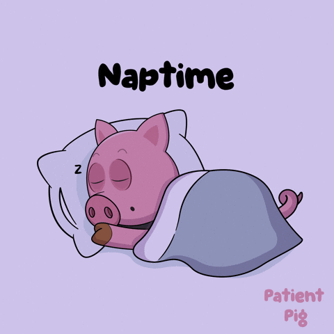 A Cartoon Of A Pig Sleeping Under A Blanket With The Word Naptime Below It GIF