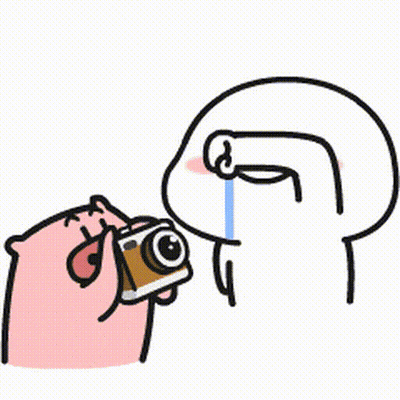 A Cartoon Of A Pig Taking A Picture Of Another Pig With A Camera And Crying . GIF