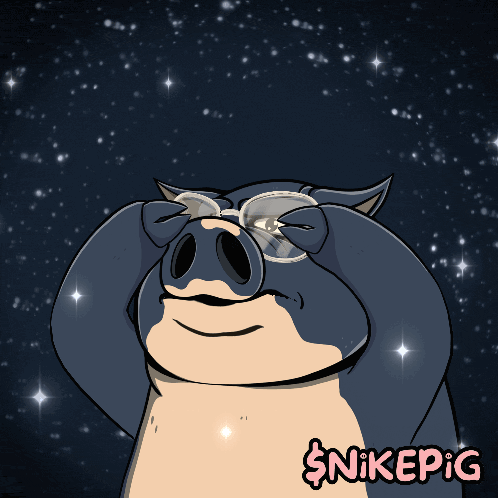 A Cartoon Of A Pig Wearing Glasses With Nikepig Written Below It GIF