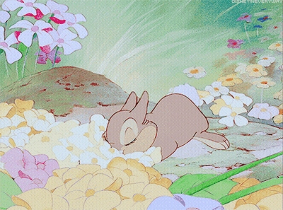 A Cartoon Of A Rabbit Laying In A Field Of Flowers With Disney Everyday Written On The Bottom GIF