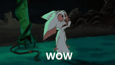 A Cartoon Of A Rabbit With The Word Wow Written Below It GIF